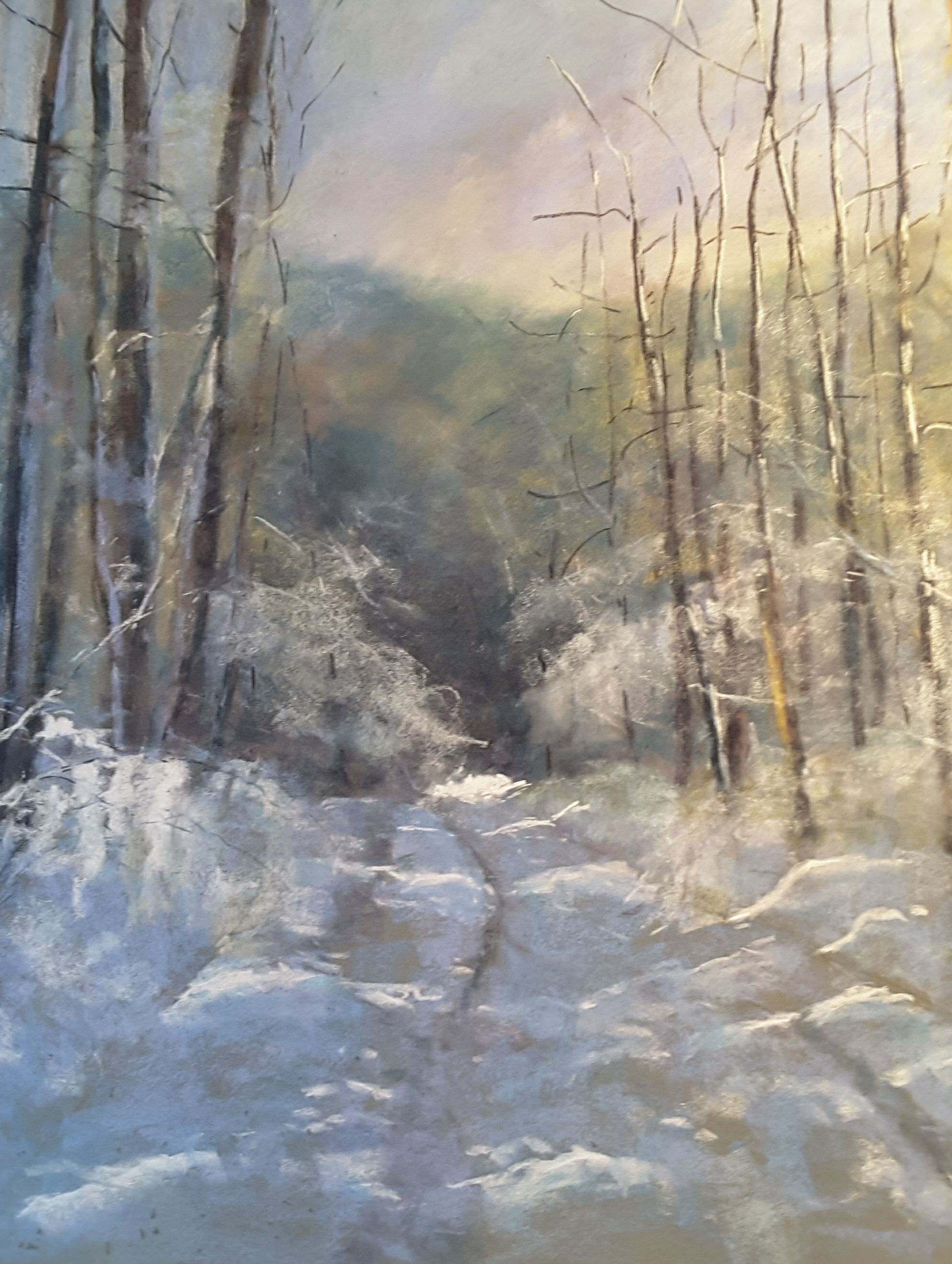 Randonnée hivernale 50x40